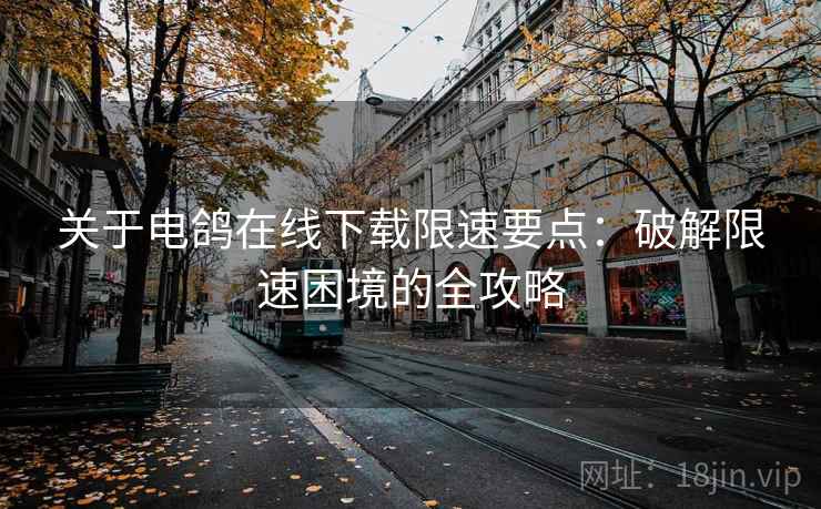 关于电鸽在线下载限速要点：破解限速困境的全攻略