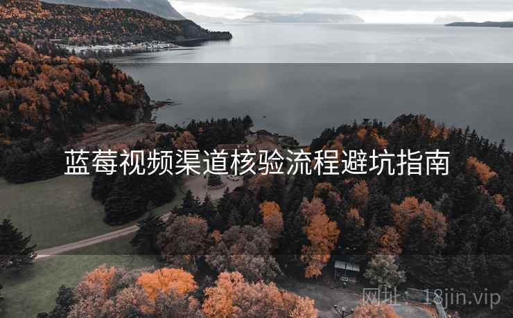 蓝莓视频渠道核验流程避坑指南