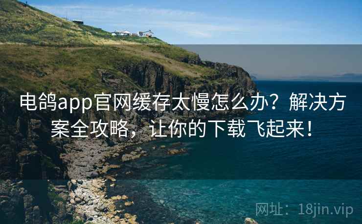 电鸽app官网缓存太慢怎么办？解决方案全攻略，让你的下载飞起来！