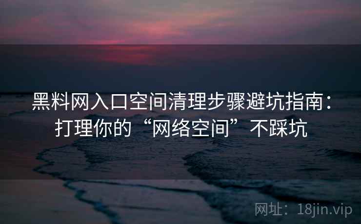 黑料网入口空间清理步骤避坑指南：打理你的“网络空间”不踩坑