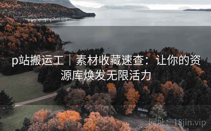 p站搬运工|素材收藏速查:让你的资源库焕发无限活力 p站搬运工|素材收藏速查:让你的资源库焕发无限活力