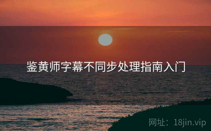 鉴黄师字幕不同步处理指南入门