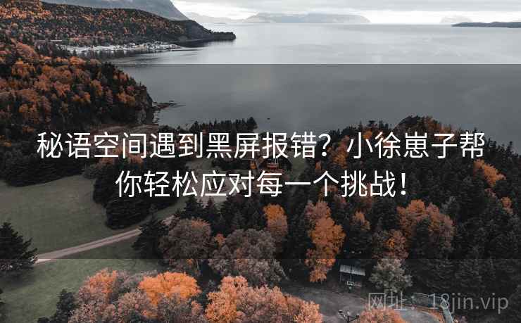 秘语空间遇到黑屏报错？小徐崽子帮你轻松应对每一个挑战！