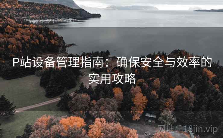P站设备管理指南:确保安全与效率的实用攻略 P站设备管理指南:确保安全与效率的实用攻略